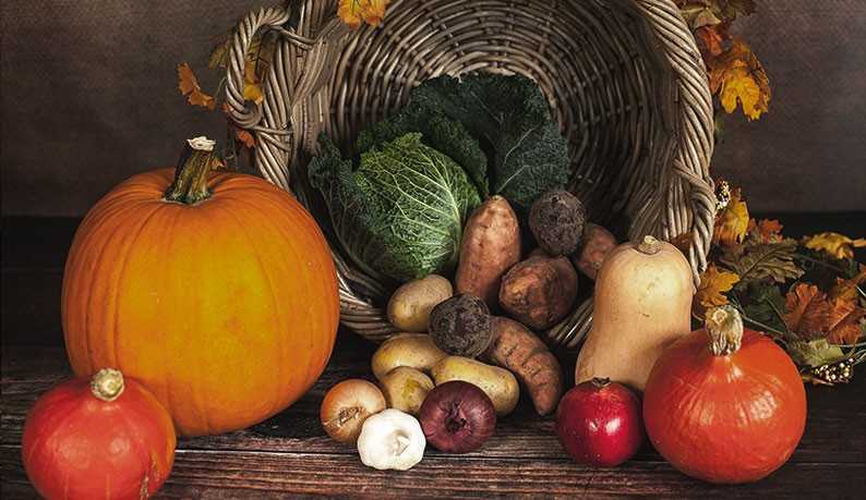 Produits de saison : on mange quoi en hiver ?