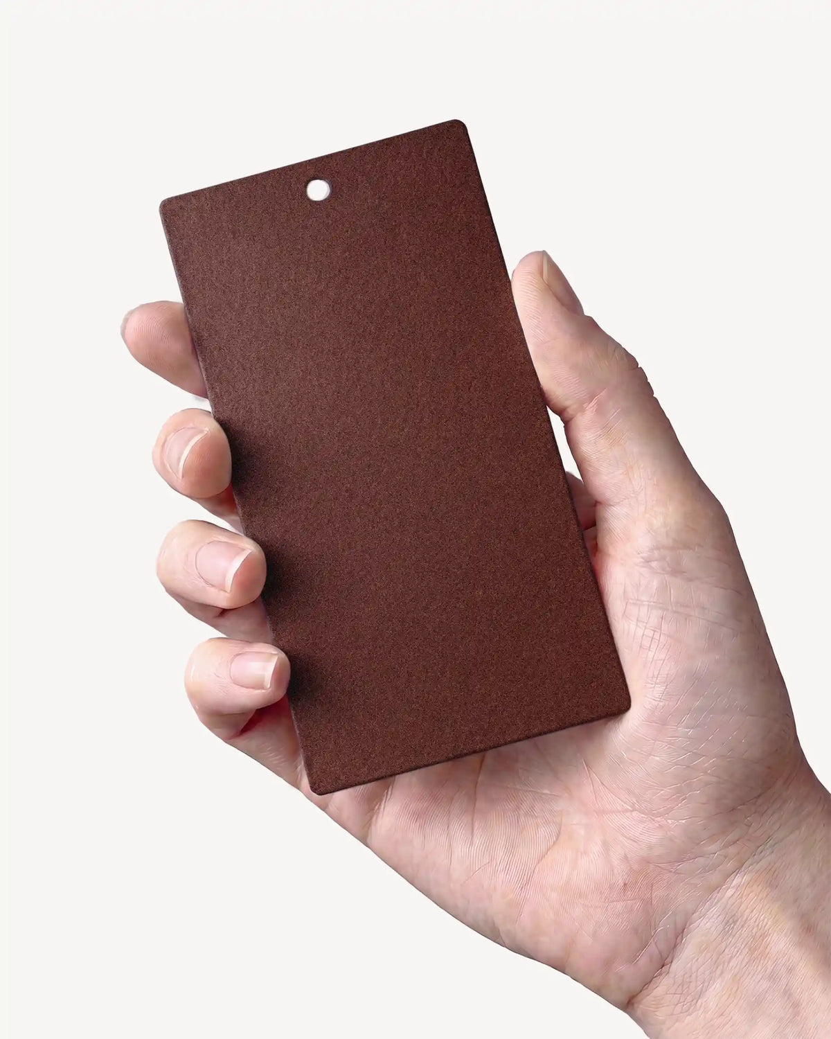 Hand holding a Rust Brown PILOTIS color sample