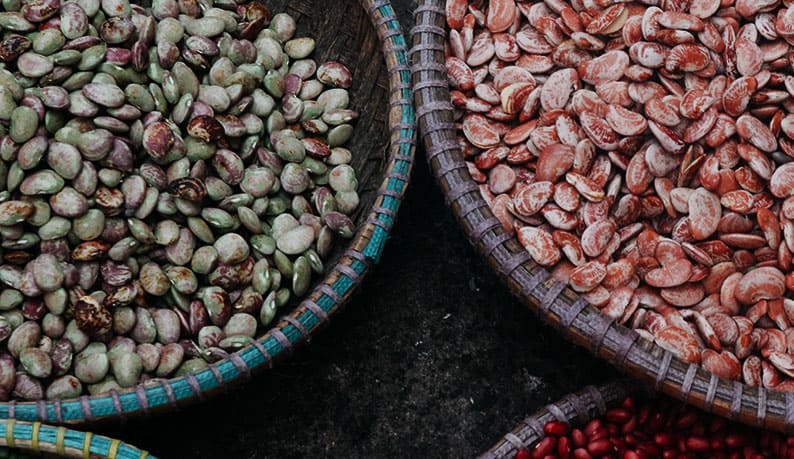 seeds