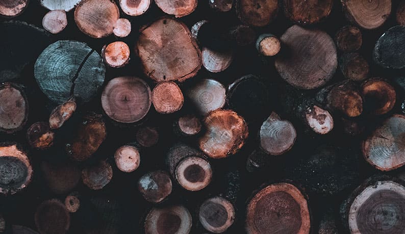 Wood logs