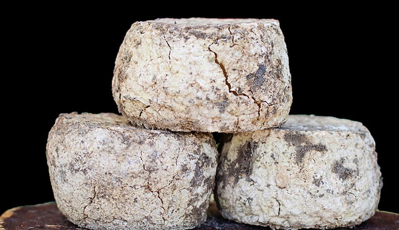 Cheese