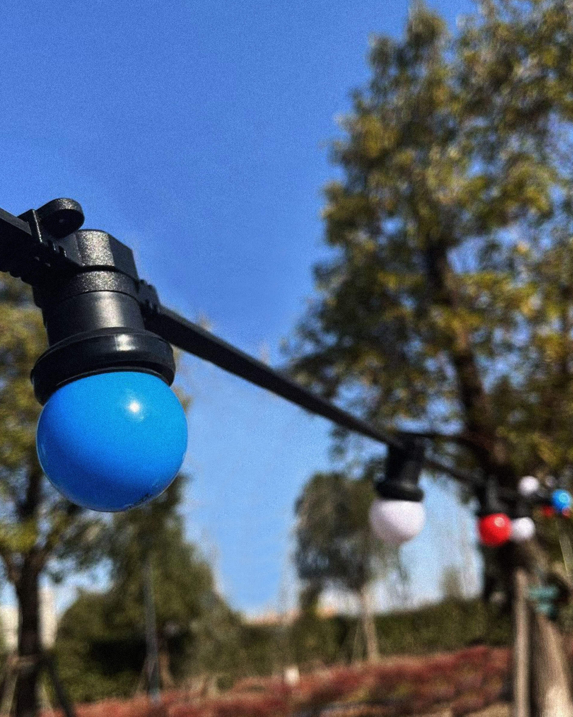 French-style festoon lights