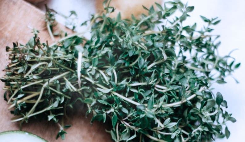 Aromatic herbs