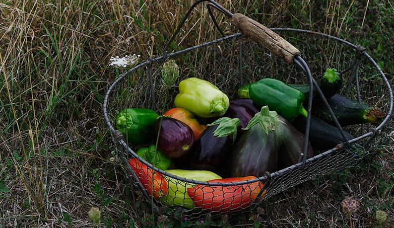Vegetables