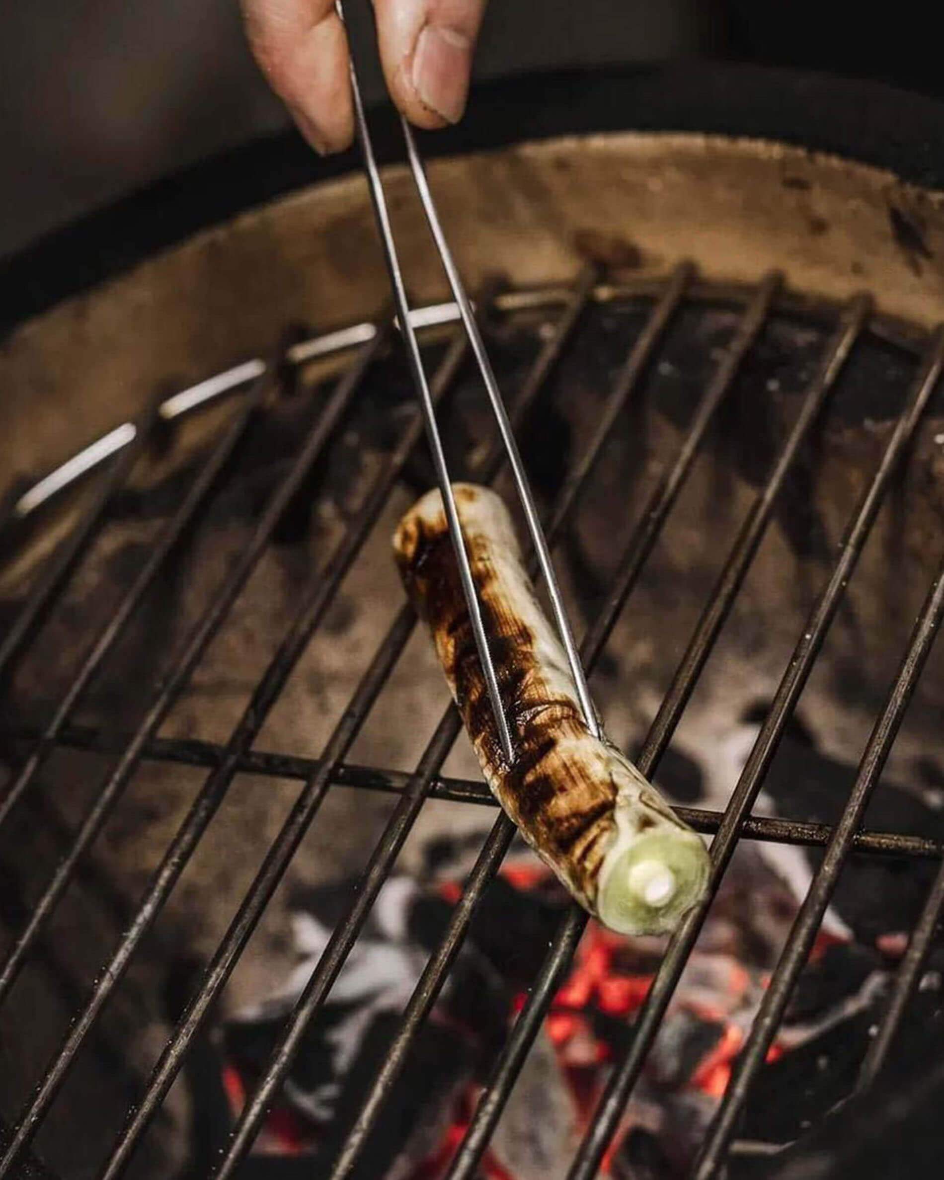 Stainless Steel Tongs