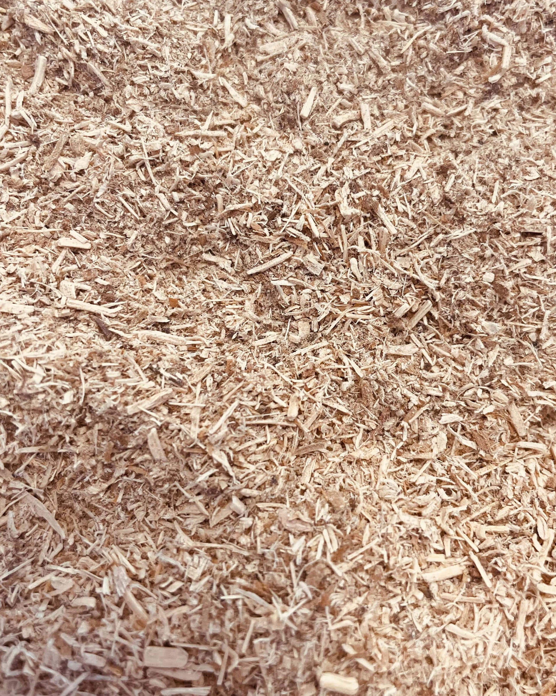 Wood chips for cold smoking